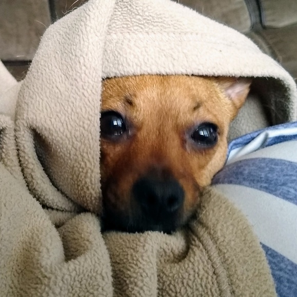 Meet your Posher, Angela - Picture 1 of 1